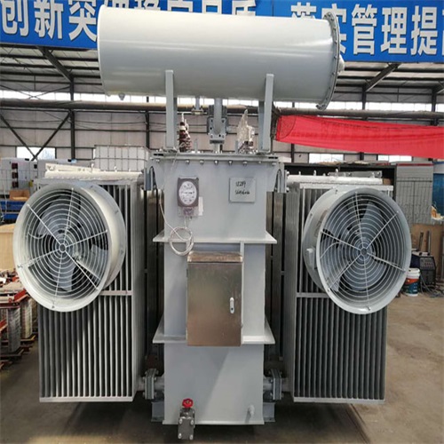 乐平S20-8000KVA变压器